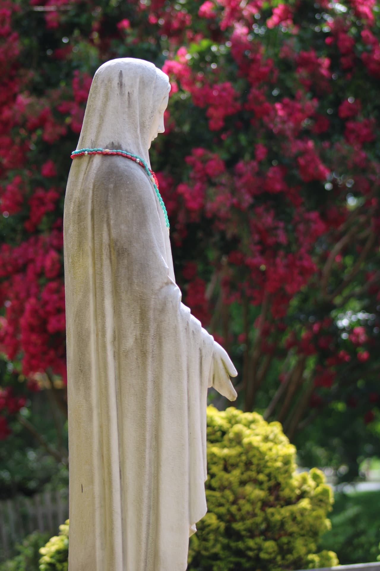 A portrait of the back view of The Blessed Mother with a pink tree in the background.