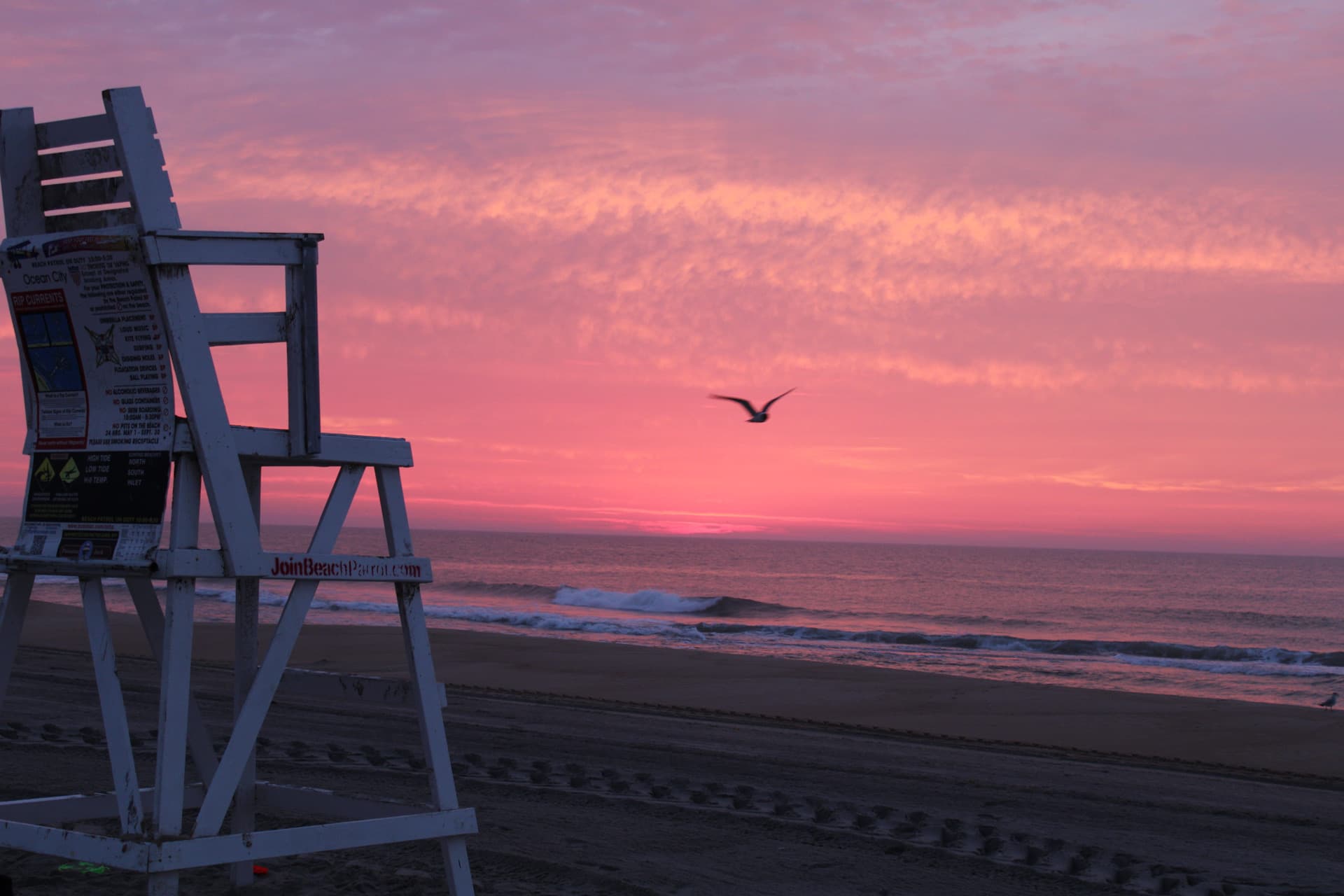 A pink sunrise arising in OC, MD with a seagull flying through the frame past a lifeguard chair.